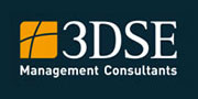 Consulting Jobs bei 3DSE Management Consultants GmbH