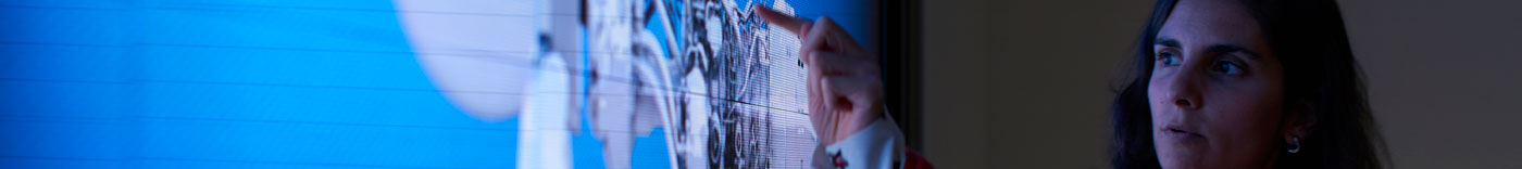 Bild zu Induction Planner